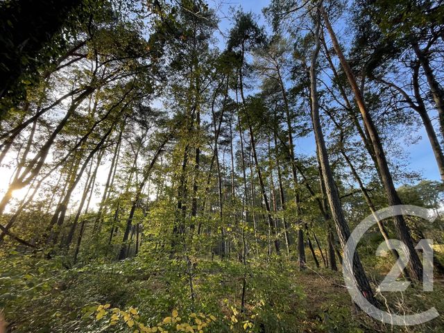 terrain à vendre - 1150.0 m2 - ARBONNE LA FORET - 77 - ILE-DE-FRANCE - Century 21 Agence Chaumette