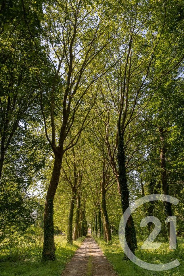 maison à vendre - 14 pièces - 527.6 m2 - BARBIZON - 77 - ILE-DE-FRANCE - Century 21 Agence Chaumette