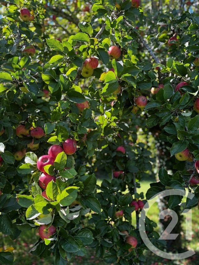 maison à vendre - 9 pièces - 204.12 m2 - PERTHES - 77 - ILE-DE-FRANCE - Century 21 Agence Chaumette