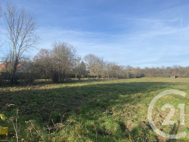 terrain à vendre - 3013.0 m2 - BARBIZON - 77 - ILE-DE-FRANCE - Century 21 Agence Chaumette