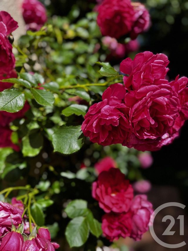 maison à vendre - 7 pièces - 130.0 m2 - BOISSISE LE ROI - 77 - ILE-DE-FRANCE - Century 21 Agence Chaumette