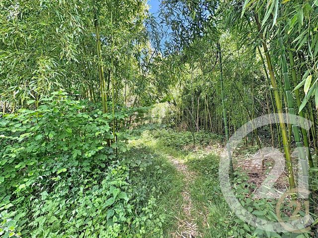 maison à vendre - 10 pièces - 255.62 m2 - VILLECERF - 77 - ILE-DE-FRANCE - Century 21 Agence Chaumette
