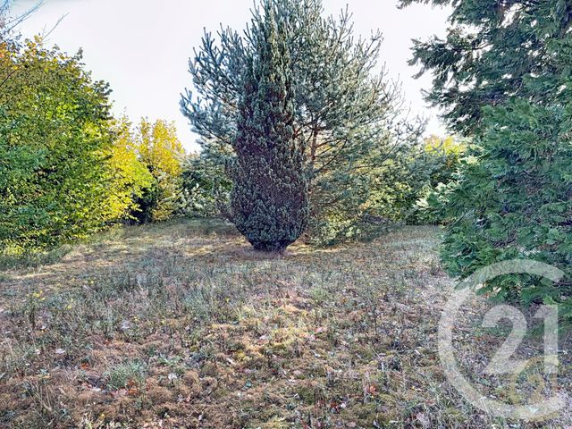 maison à vendre - 6 pièces - 138.5 m2 - ARBONNE LA FORET - 77 - ILE-DE-FRANCE - Century 21 Agence Chaumette